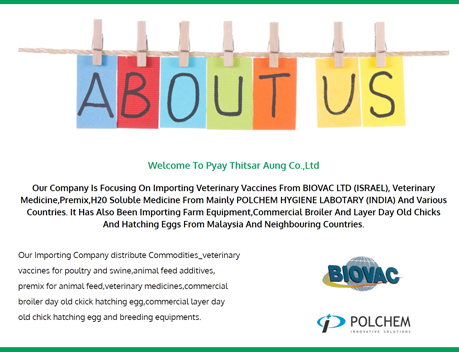 pyaythitsaraung-aboutus